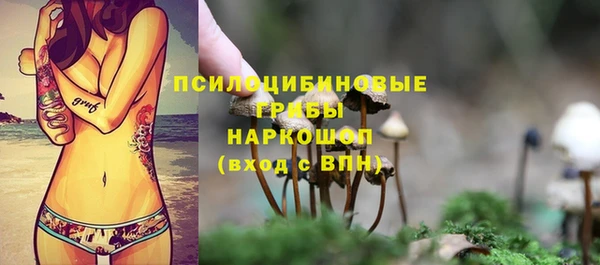 mdpv Бронницы