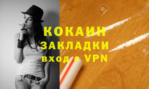 ГАЛЛЮЦИНОГЕННЫЕ ГРИБЫ Богданович