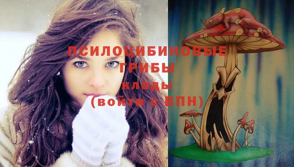 метадон Бородино