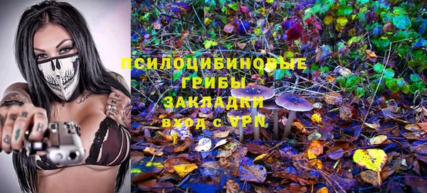 трава Бугульма