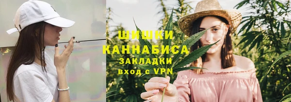 гидра Верхний Тагил