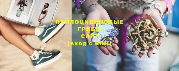 гидра Верхний Тагил