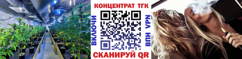ТГК концентрат  Горбатов 