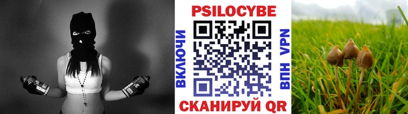 Псилоцибиновые грибы мицелий Горбатов